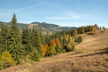 Beautiful view of mountains in Ukraine. Wonderful panoramic landscape with autumn forest on a sunny day.