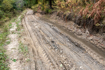 Dirty road in the forest background close up