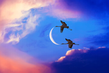 Couple of flying cranes holding a crescent moon on the sunset sky background