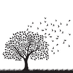 tree with birds
