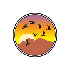 bird flock in the sky,