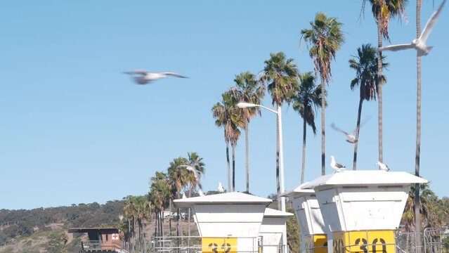 Lifeguard stand or life guard tower hut, surfing safety on California beach, USA. Summer pacific ocean aesthetic. Rescue station, coast lifesavers wachtower or house, palm trees in La Jolla, San Diego