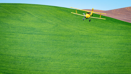 Yellow Crop Duster flies over green fields of wheat