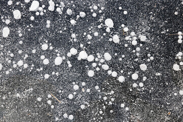 Burbujas de metano congeladas en el hielo 