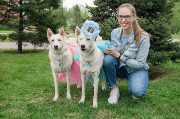 Happy woman walking with two can de palleiro dog in park