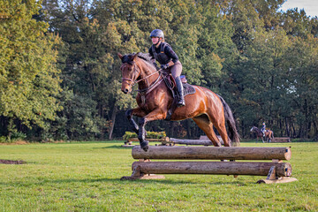 junge Frau mit Schutzweste und Reithelm springt im Sommer auf braunem Pferd über einen Sprung aus Holz während des Trainings auf einer Wiese vor Bäumen © mavcon