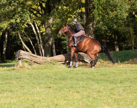Reiterin verliert das Gleichgewicht bei einer Verweigerung des Pferdes vor einem Sprung im Gelände