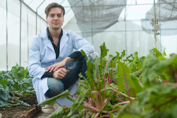 A scientist man is analyzing organic vegetables plants in greenhouse , concept of agricultural technology