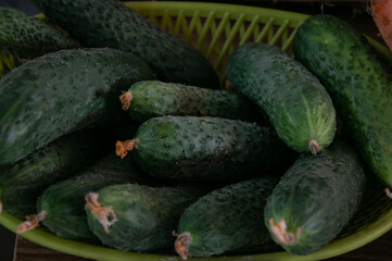 There are many ripe green cucumbers on the counter. Sale of cucumbers in the grocery market. Sale of vegetables and fruits at the farmers' market.