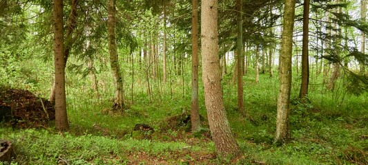 Fototapety na wymiar - Fototapeta24.pl