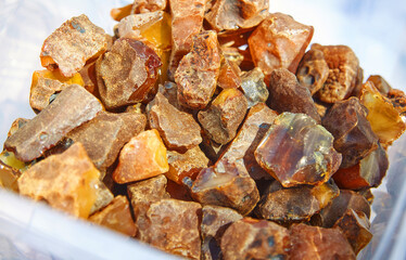 amber fossil resin
