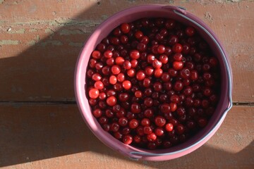Top view of red cherries in bucket.