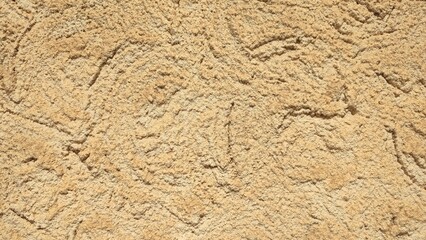 texture of sand color 