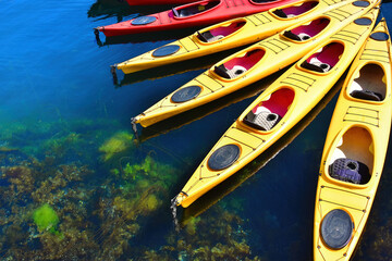 Colorful kayaks, in a row ,on the water in Alesund, Norway.