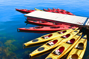 Colorful kayaks, in a row ,on the water in Alesund, Norway.