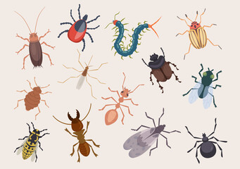 Harmful bugs. Danger insects ladybug ants pests roaches centipede flea exact vector illustrations set