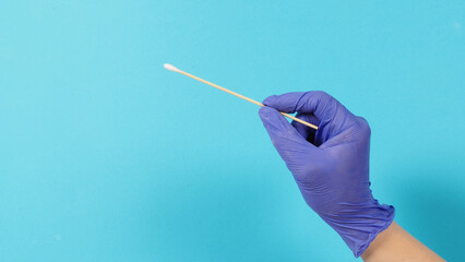 Cotton stick for swab test in hand with violet medical gloves or latex glove on blue background.