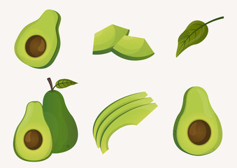 Set of avocado with leaves. Fruit in cartoon style illustration