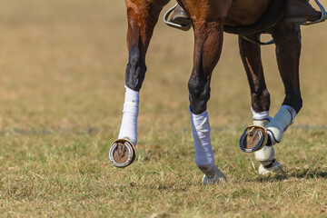 Polo-Cross Horse White Protective Tape Legs Hoofs