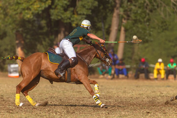Polo-Cross Rider Player Horse With Racket Ball Game Action.