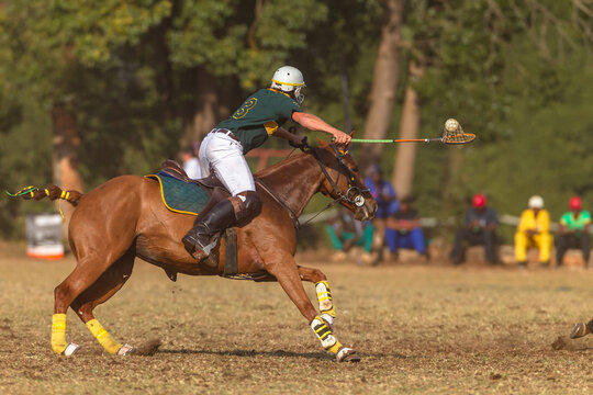 Polocrosse Images – Browse 63 Stock Photos, Vectors, and Video | Adobe ...