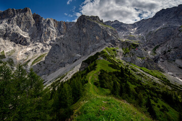 Fototapeta na wymiar Alps in summer.