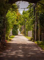 alley in the park miami design district nature 