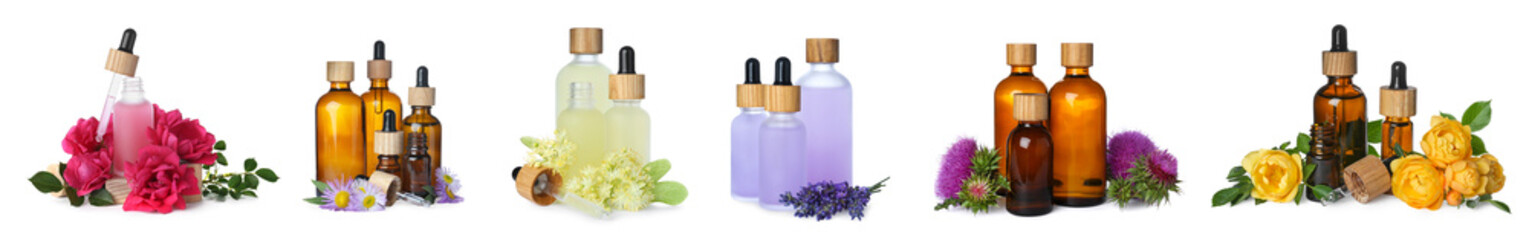 Set with different natural essential oils and flowers on white background. Banner design
