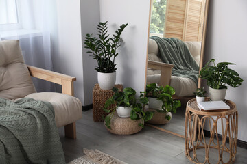 Beautiful room interior with leaning floor mirror and houseplants