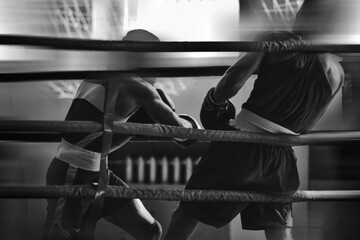 Black and white silhouettes of boxing athletes in the ring. Combat sports. Shallow depth of field....