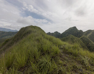 Cerro Picachos de Ola 