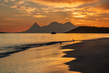 Fototapeta na wymiar midnight sunset on a beach