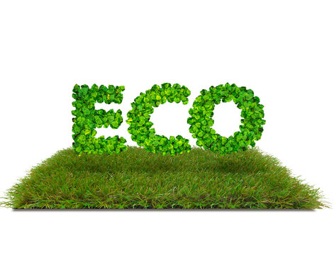 ECO letters with shadow on a white background with lawn.