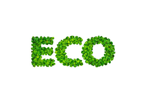 ECO letters on a white background .