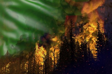 Forest fire natural disaster concept - infernal fire in the woods on Zambia flag background - 3D illustration of nature