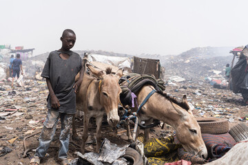Young african donkey cart driver delivering household garbage to an urban landfill