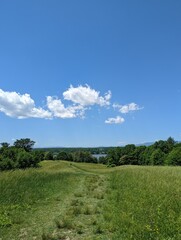 field and blue sky