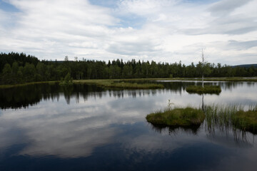 Fototapeta na wymiar View of lake in summer time, nature and landscape of Czechia 