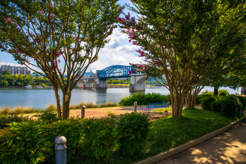 the  Chief John Ross Bridge over the blue rippling waters of the Tennessee River surrounded by lush...
