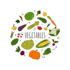 Vegetable set. Vector flat illustration. Vegetarian concept