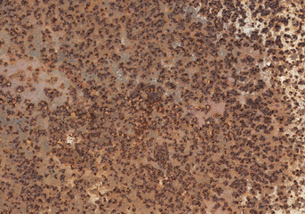 textured rusty surface of old iron dirty brown with light intersperses, metal embossed background...