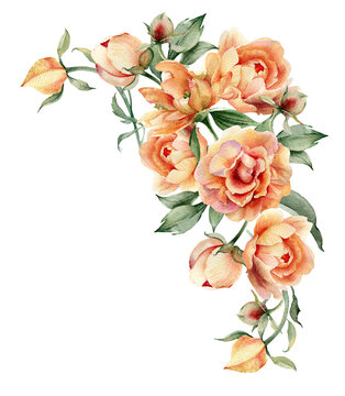 Watercolor flowers. Hand painted peony bouquet. Floral arrangement for DIY greeting cards, posters, wedding invitations. Illustration isolated on white background
