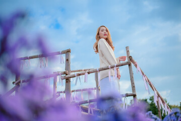 attractive asain woman in white dress relaxing and enjoying in blooming margaret flower field at...