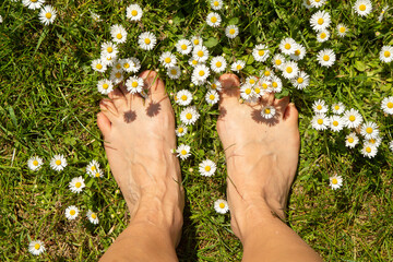 Nackte Füße im Graß und Gänseblümchen im Sommer, barfuß auf einer Wiese in der Natur