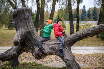Naklejka na ściany i meble Two boys are sitting on a log. The child walks in the summer par