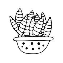 Doodle potted houseplant. Vector illustration
