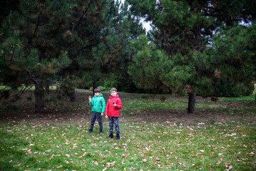 Fototapeta premium Two kids hiking in forest. Hiking with Toddlers and Young Kids.