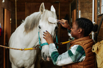 Portrait of smiling African American girl taking care of white horse in stables and brushing its hair