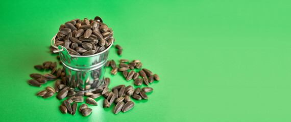 A small bucket filled with sunflower seeds on a green background.