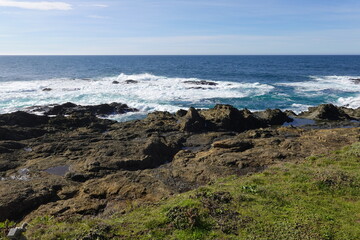 Obraz premium Mendocino, CA - Russian Gulch State Park